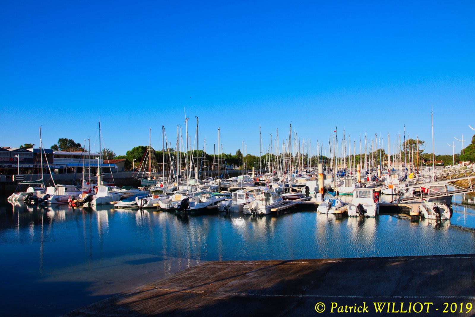 Boyardville
